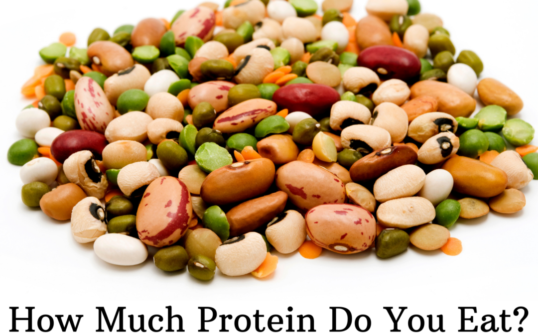 Are you getting enough protein?